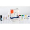 Kit T4 ELISA LIVRE 