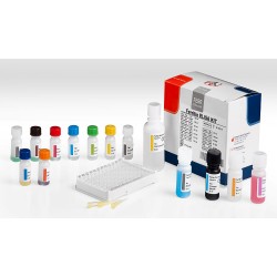 Linha de Teste Rapido e Elisa