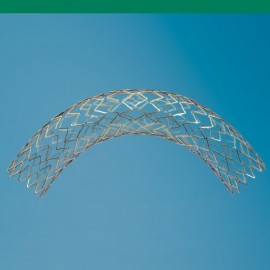 Linha de Stents e Perifericos 