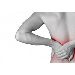 Dispositivo IntraSPINE para Cirurgia da Coluna Lombar