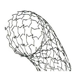 Linha de Stats Trammit