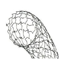 Linha de Stats Trammit