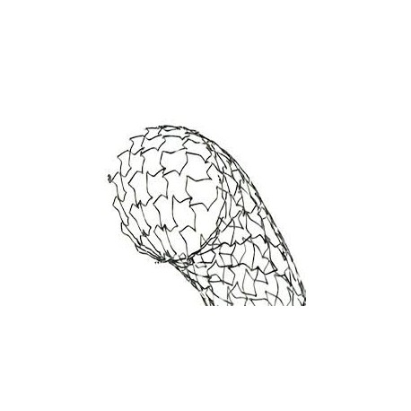 Linha de Stats Trammit