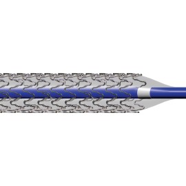Sistema de stent RENAL E BILIAR