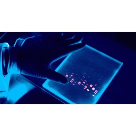 CUBAS PARA ELETROFORESE